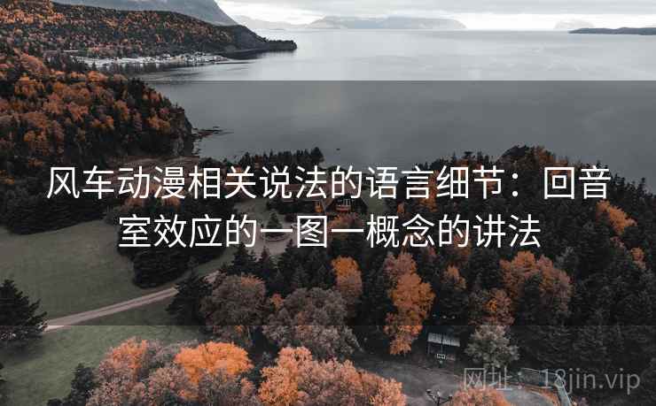 风车动漫相关说法的语言细节：回音室效应的一图一概念的讲法